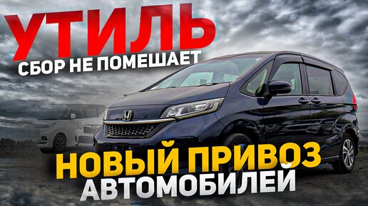 УТИЛЬСБОР 2023❗️ ТЕПЕРЬ АВТО ТОЛЬКО ПОД ЗАКАЗ ❗️ Свежий привоз 💰 ЦЕНЫ