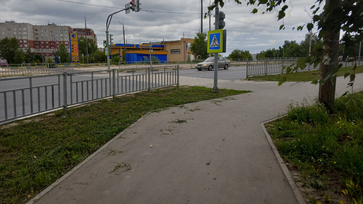 Далекий заказ. Возила мясо за пределы города, в промзону. | Дневник Марфы |  Дзен