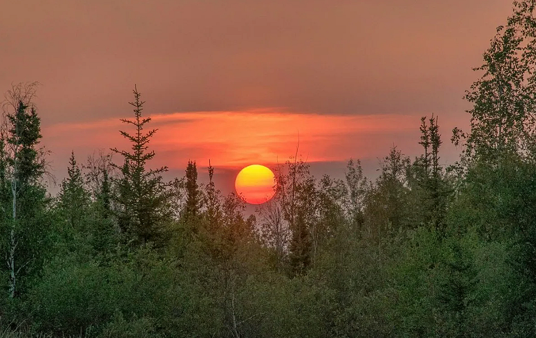 Картинка взята в интернете