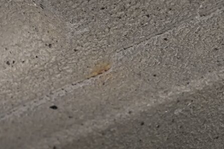 Ржавчина на днище