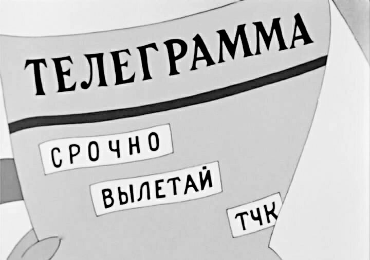 Фото из открытых источников.