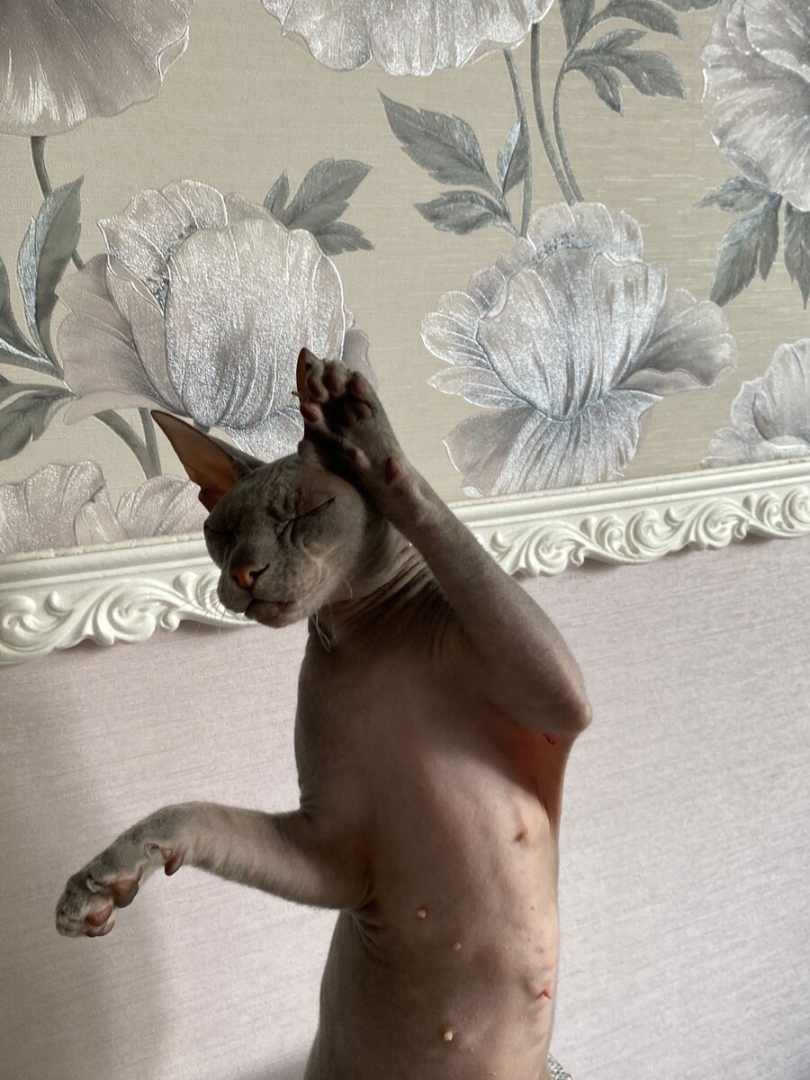 Какой спать, ты чё? Не, не, не