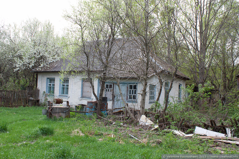 шепеличи чернобыль. станция шепеличи. припять новошепеличи. станция шепеличи украина. новошепеличи.