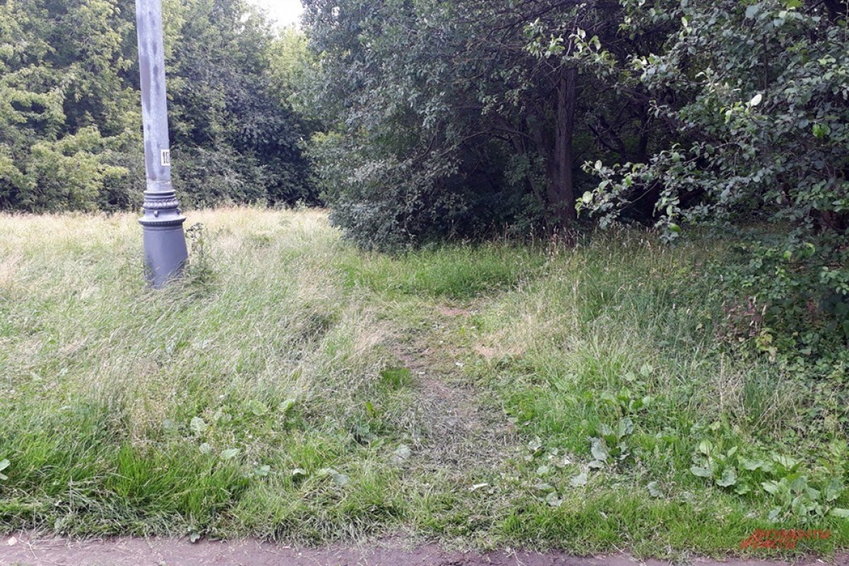    Есть сообщник?