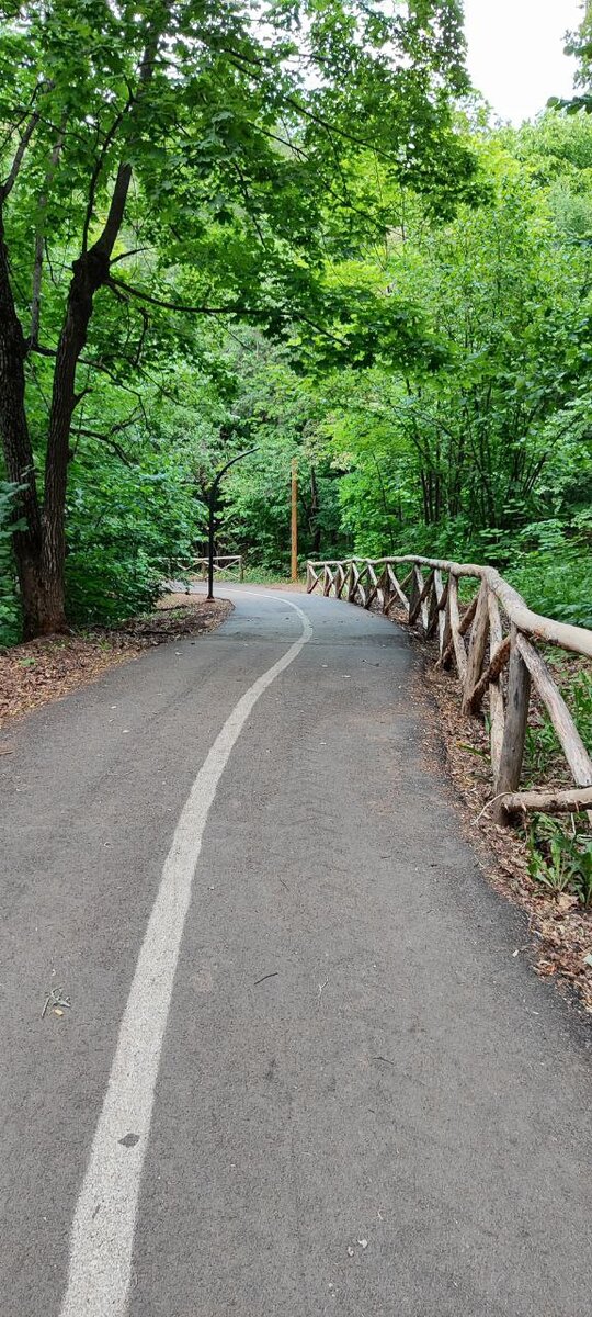 Бесконечная дорога к счастью