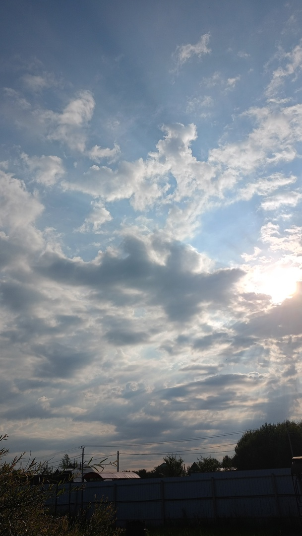 Фото автора.