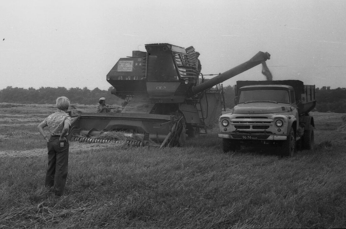 Ностальгия. Уборка зёрна в СССР. 