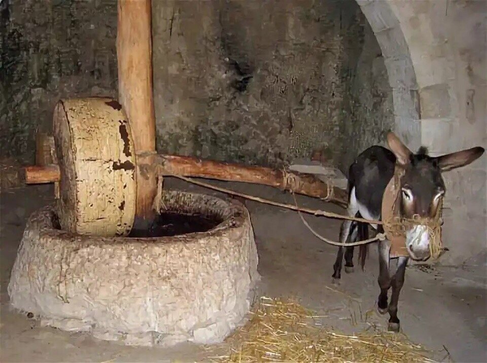 Яндекс картинки