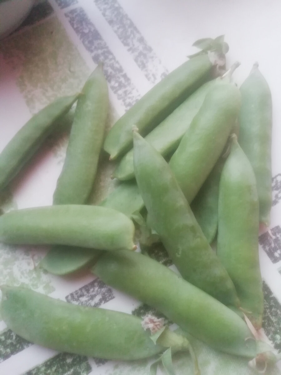 Сладкий горошек