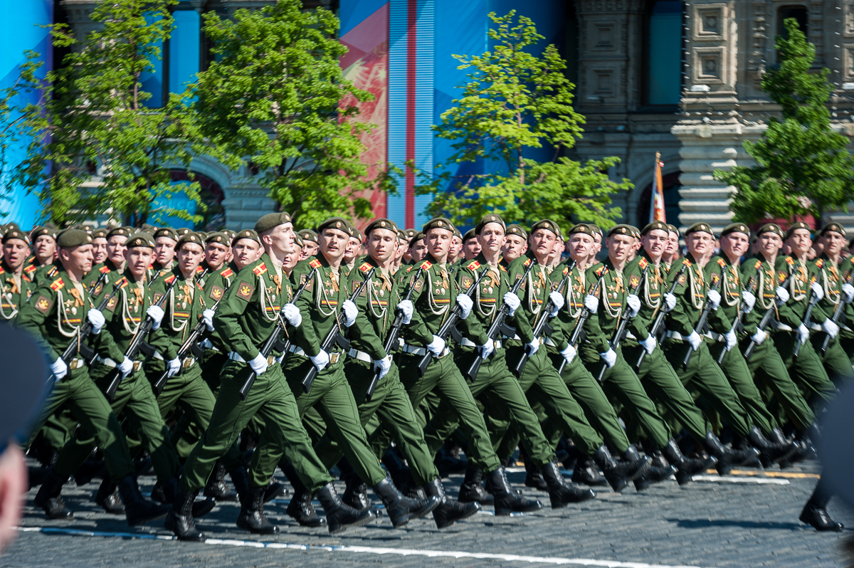 это наши славные полки стройные ряды
