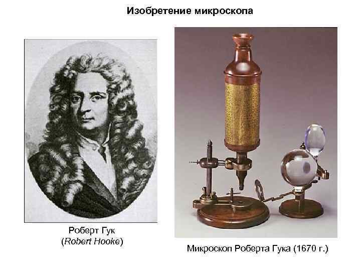 Роберт Гук и первый микроскоп