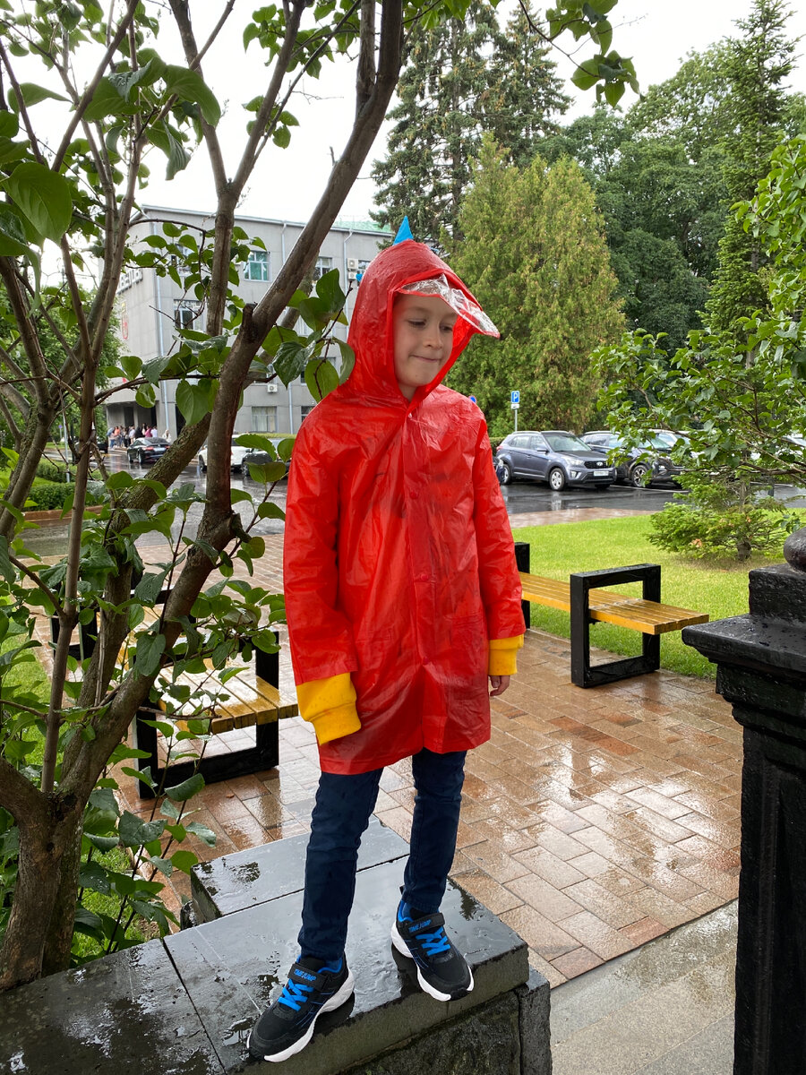 Фото автора. Уже две недели в деревне Гадюкино идут дожди ))) С очень редкими исключениями. Музеи закончились )))