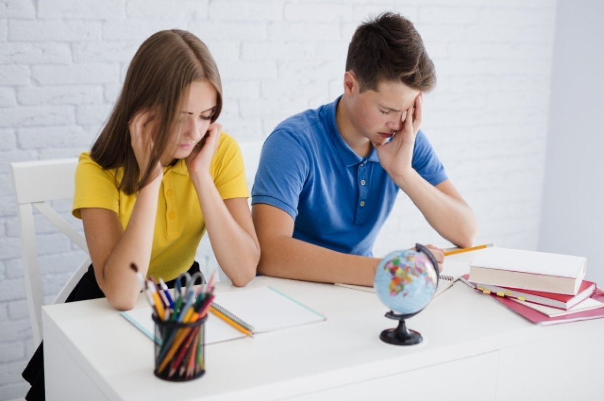    Минобр Карелии дал пояснения насчет трудового воспитания в школах