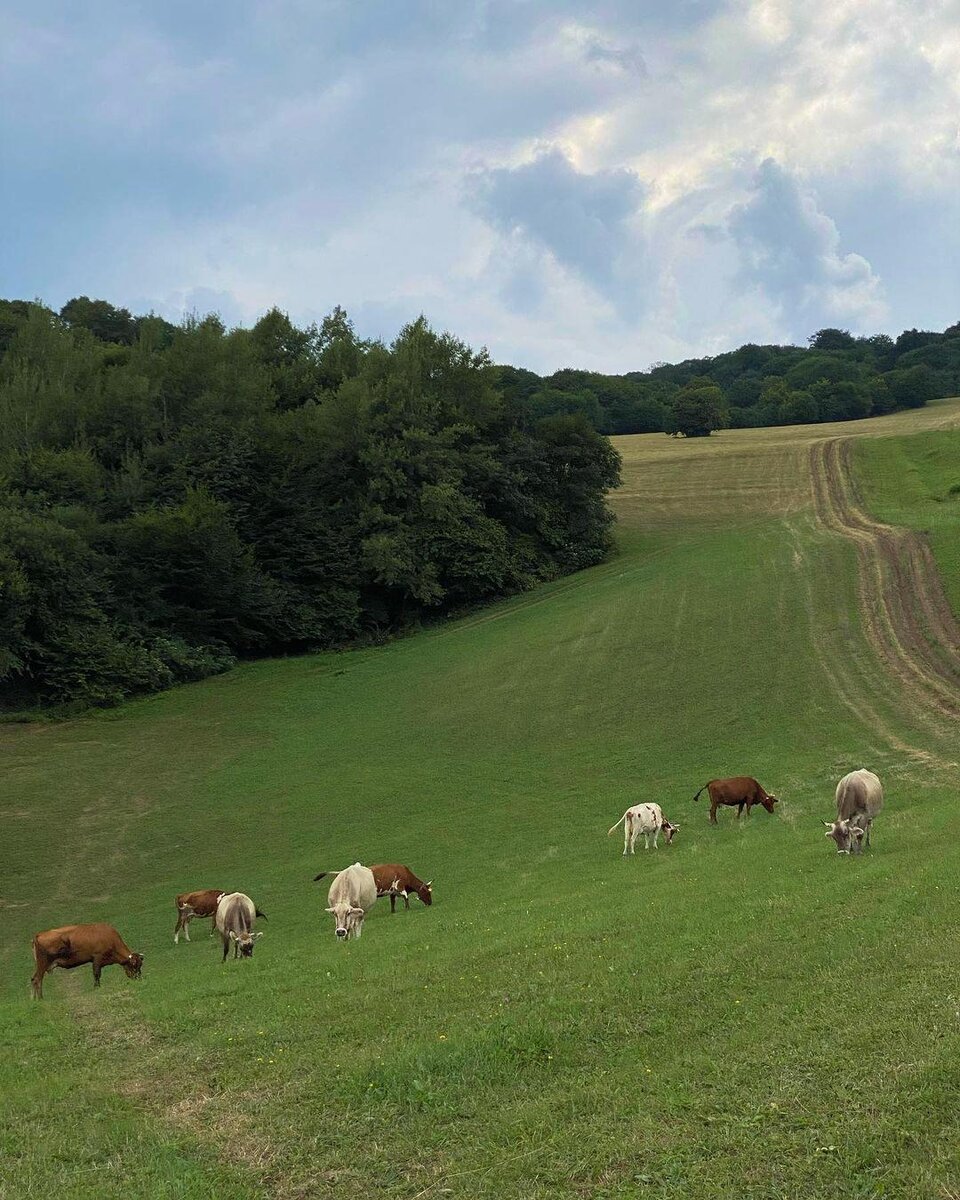    elenandrevn / INSTAGRAM (ПРИНАДЛЕЖИТ META, КОМПАНИЯ ПРИЗНАНА ЭКСТРЕМИСТСКОЙ И ЗАПРЕЩЕНА В РОССИИ)