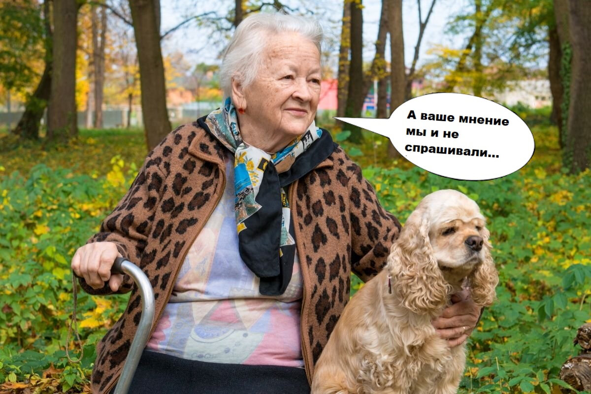 Милая бабулечка, взята из открытых источников и немного модернезирована.