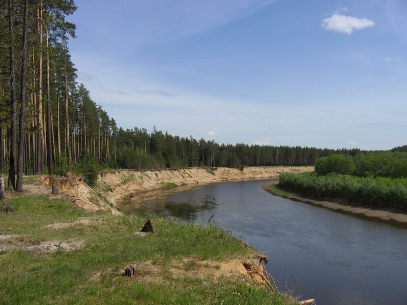    Строительные материалы.    Среди полезных ископаемых в Кировской области встречаются: глины, пески, гравий, гипсы и другие.     Глины бывают разных цветов : красные, серые, бурые, жёлтые.