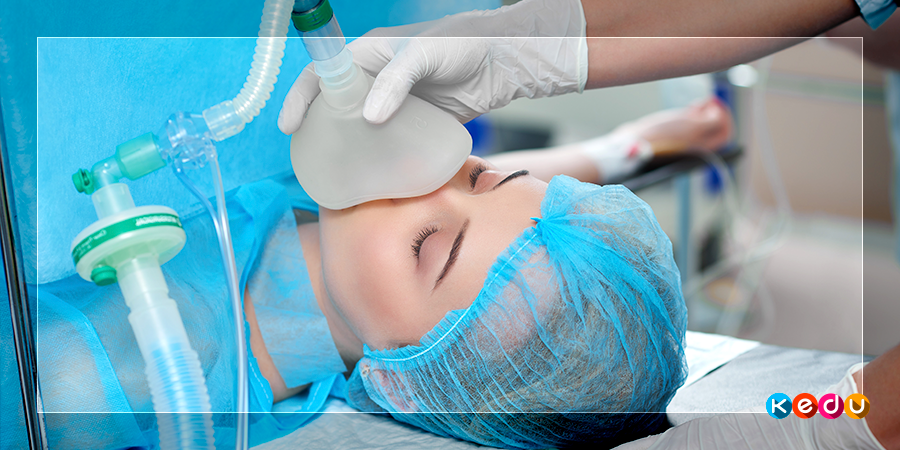 Источник фото serhii_bobyk/freepik