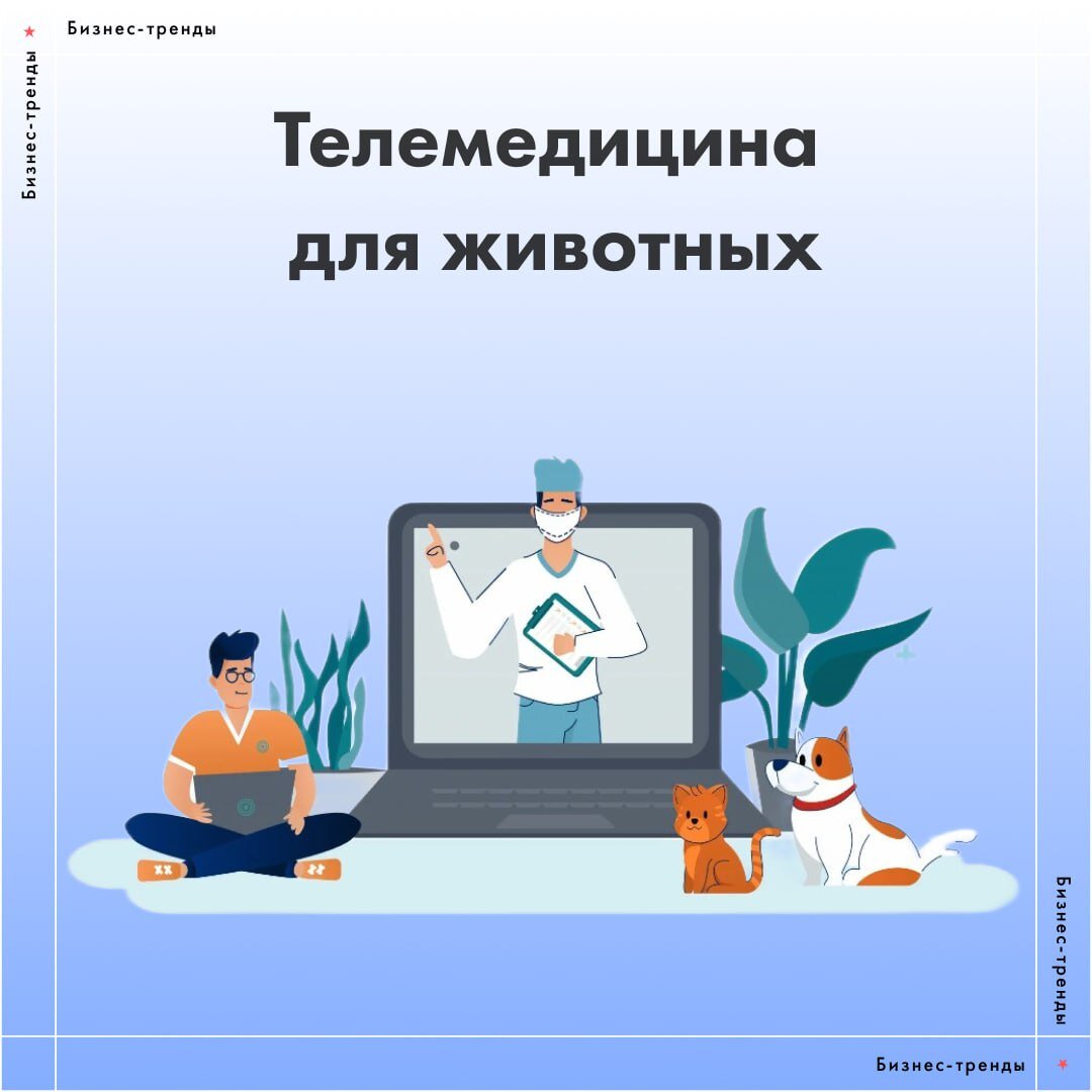 Бизнес-тренды: телемедицина для животных | ИДЕИ НА МИЛЛИАРД – ECOMSTUDIO.RU  | Дзен