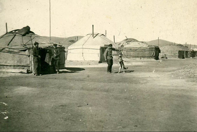 Шёл 1938 год, мой дедушка был отправлен в  Монголию. Там стояла наша часть. Военные заготавливали мясо для нужд Красной Армии.
