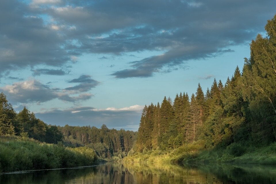 Ярославская область, Даниловский район, Река Соть. Фото А. Лобанов