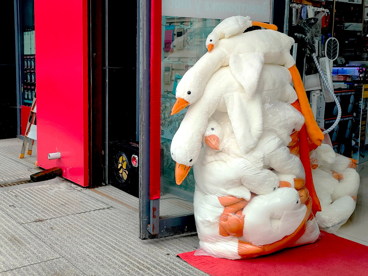 Гуси-обнимуси в Хунчуне, Китай