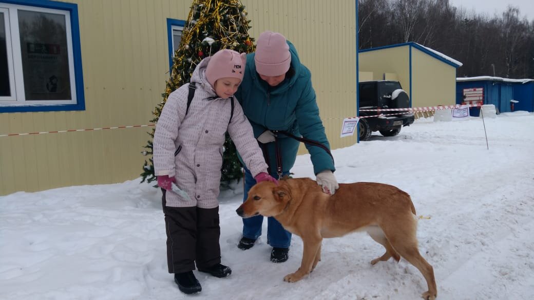 Баста, пока еще не понимает, что уезжает из приюта навсегда в новый дом, где станет всеобщей любимицей