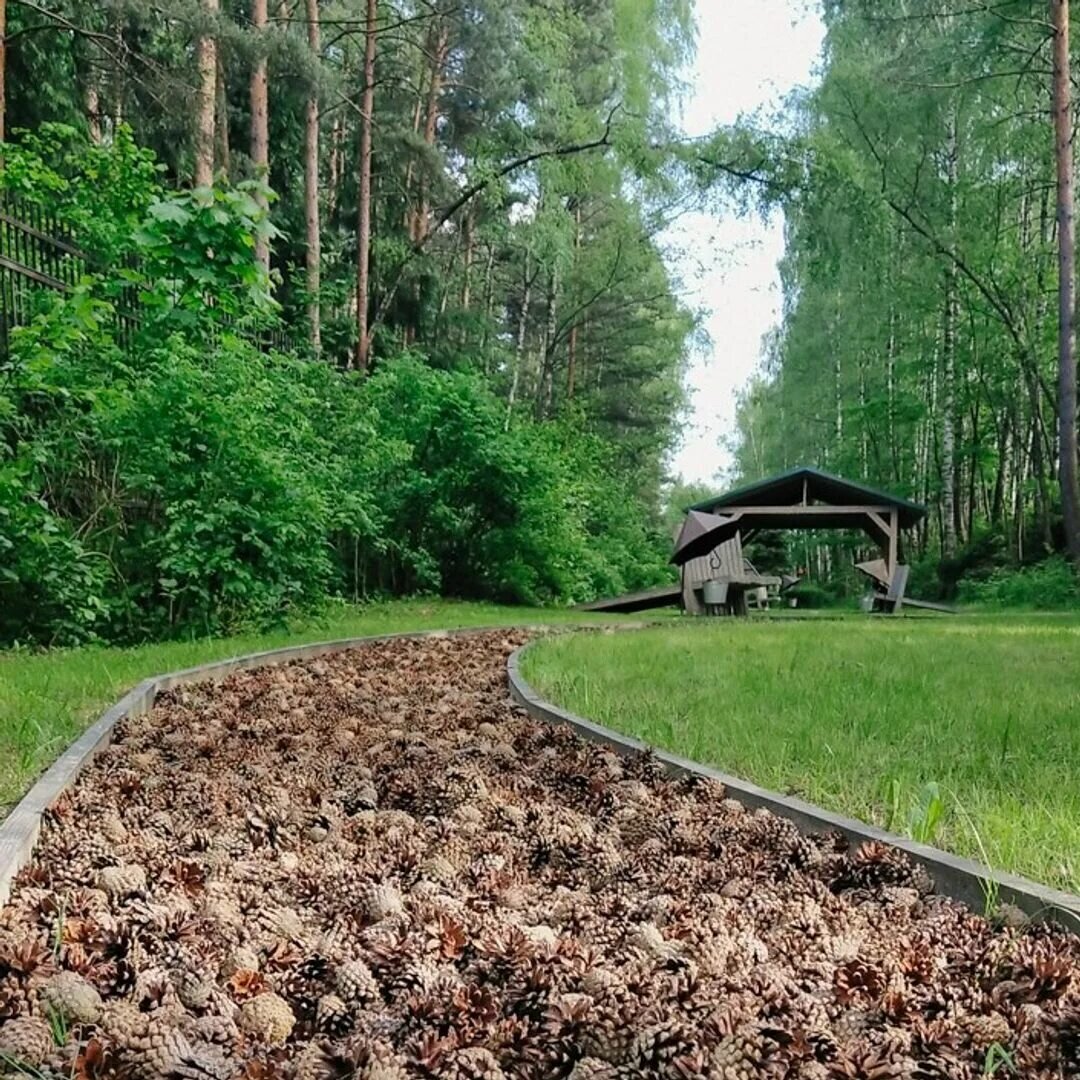 Тропа босиком Лосиный остров