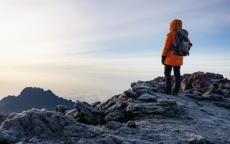 Into the Climb izle