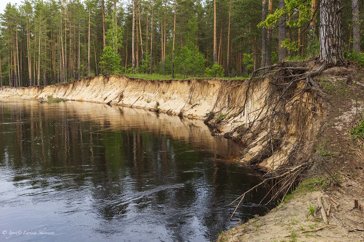 Мещера остаток лесного. Мещера Рязанская область. Река пра Рязанская область. Река пра Рязанская. Мещерская низменность Рязань.