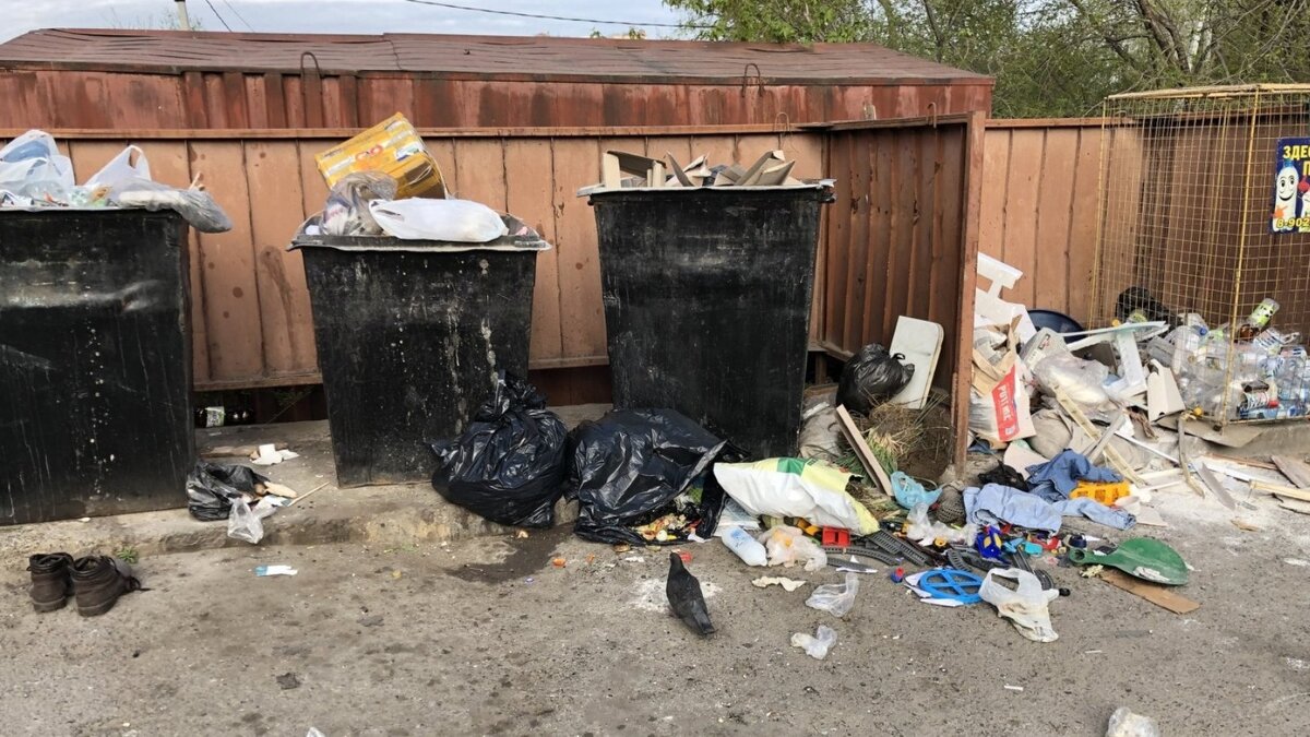     «Аэросити-2000» ответил на претензии Минприроды Хакасии и обвинил в мусорном коллапсе всех, кроме себя. Регоператор даже упомянул, что это все козни политиков перед выборами.