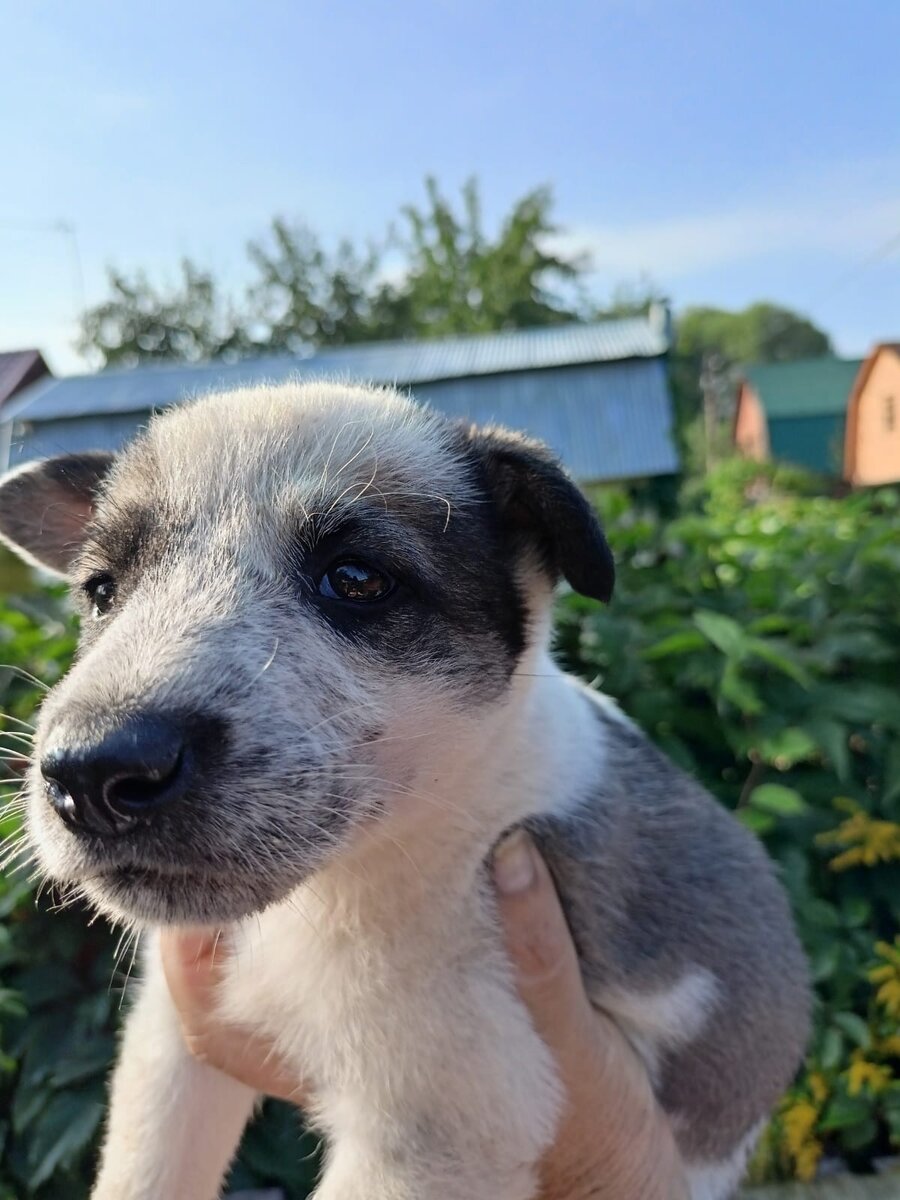 Такой нос пропадает!