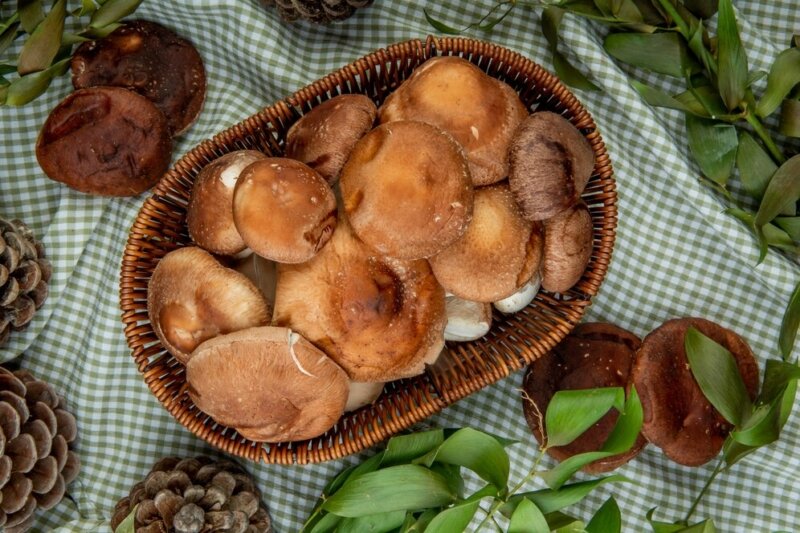 Засолка рыжиков является одним из самых популярных способов сохранения их вкуса и аромата на протяжении всего года. Они являются одним из наиболее популярных видов грибов для засолки.