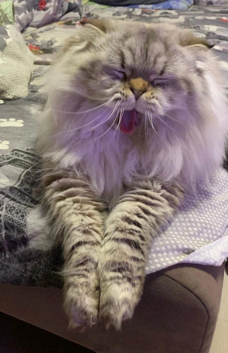 Йосик. Передавая детям наши взгляды на мир, готовим ли мы их к прошлому?