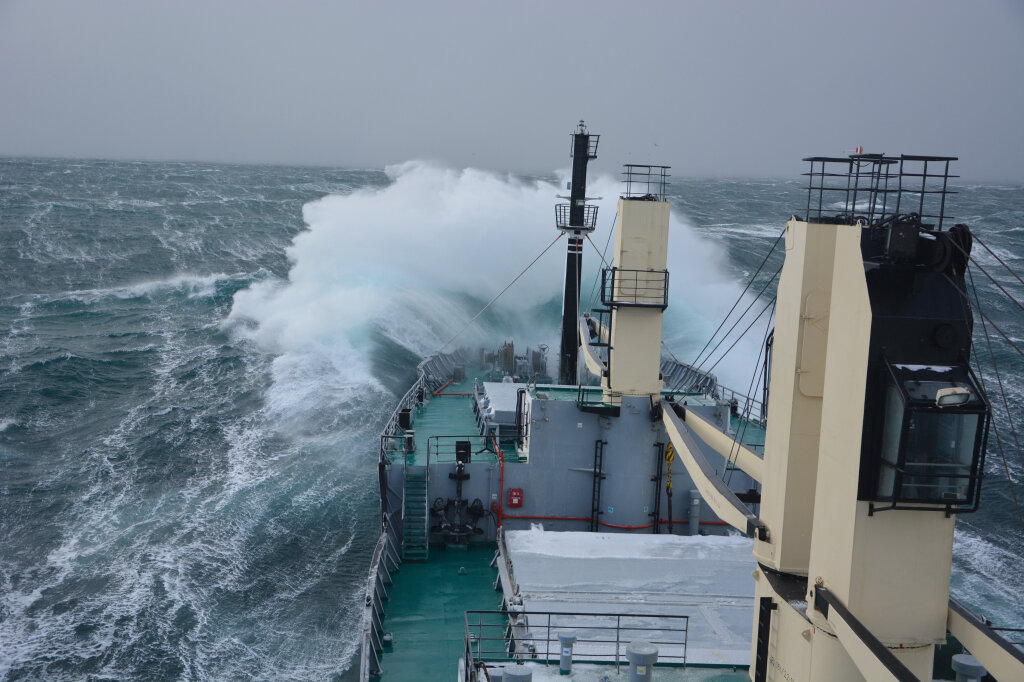 Фото предоставлено ВАРПЭ  📷
