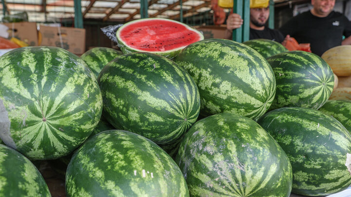 ФОТО: BULKIN SERGEY/NEWS.RU/GLOBALLOOKPRESS