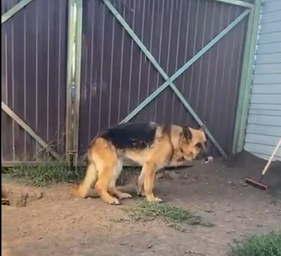 Это наша Лорочка