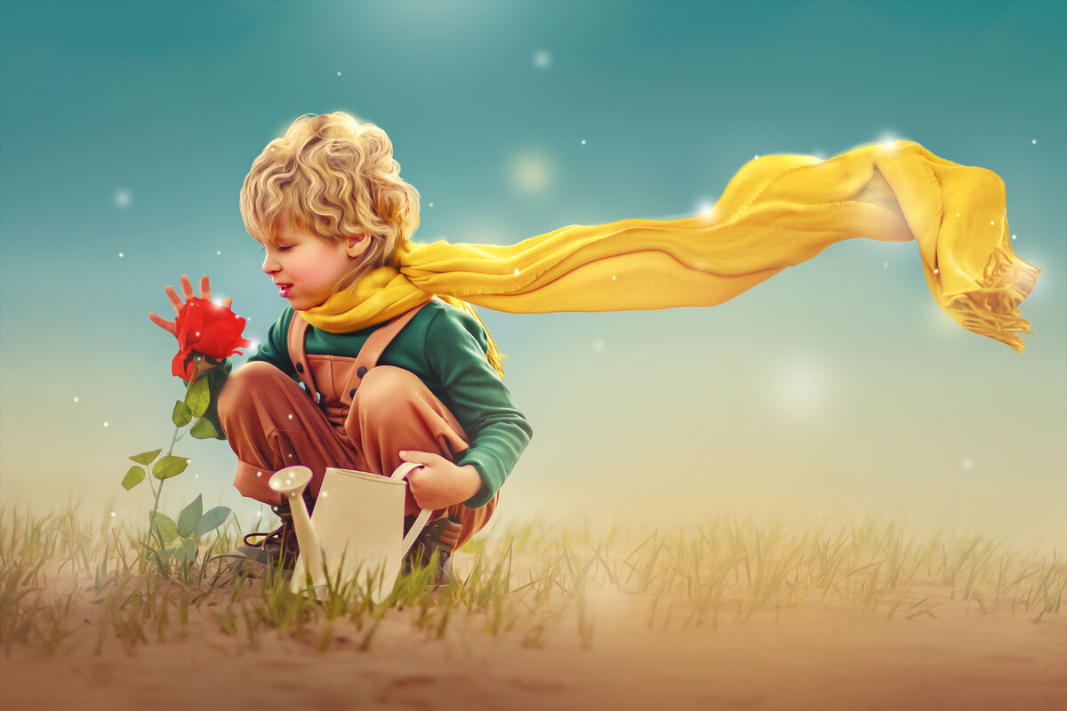 Фото из свободного доступа сети Интернет