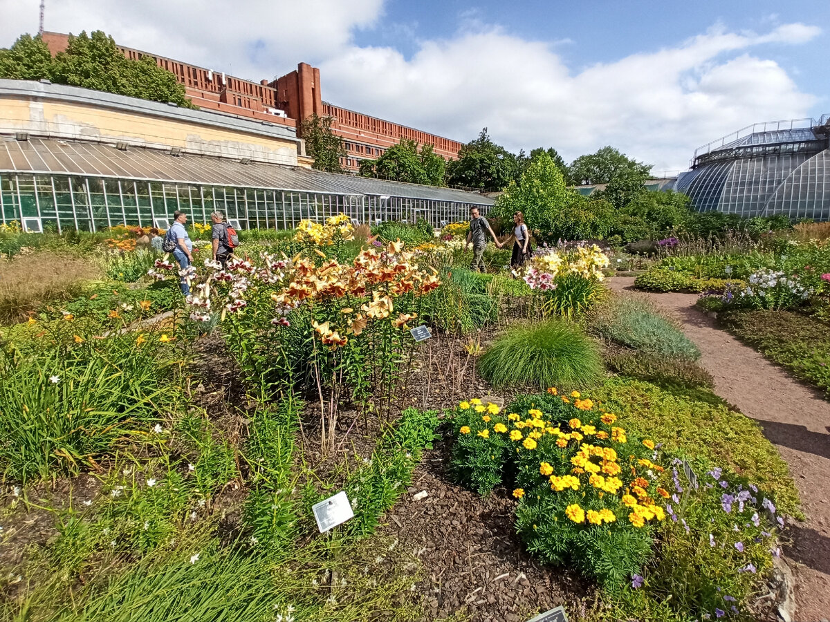 Фото: Алексей Володихин