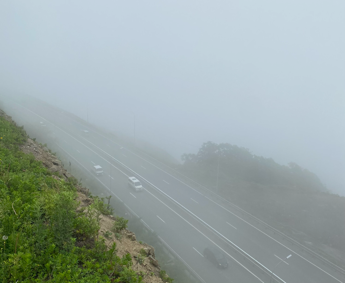Наша объездная дорога (Владивосток), туманы на которой – явление частое и опасное.