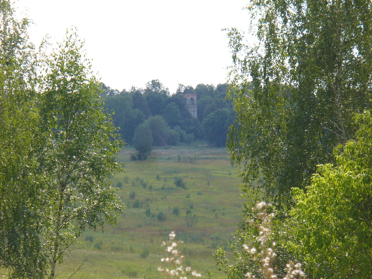 Фото сделано с кратным приближением