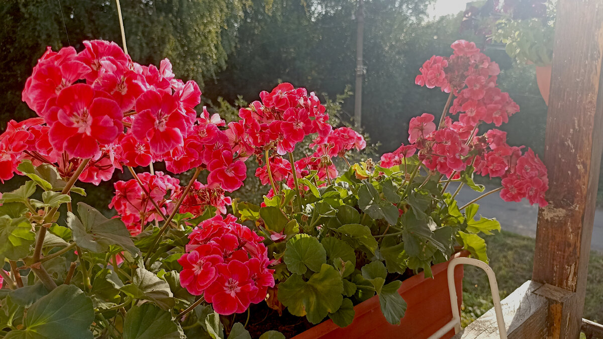 'Toscana Tammo' ������� ���������� ��� ��� ������ �������