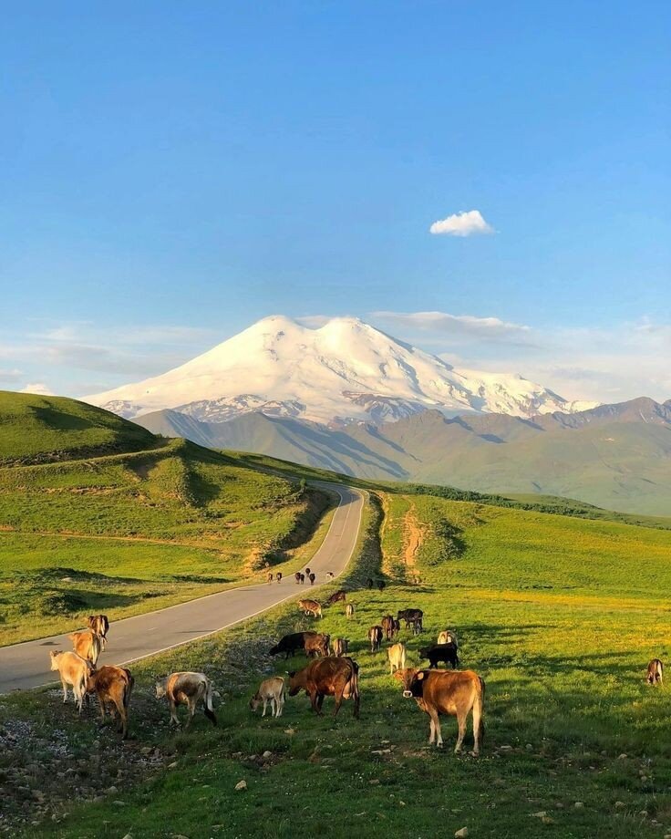 Северный Кавказ дорога