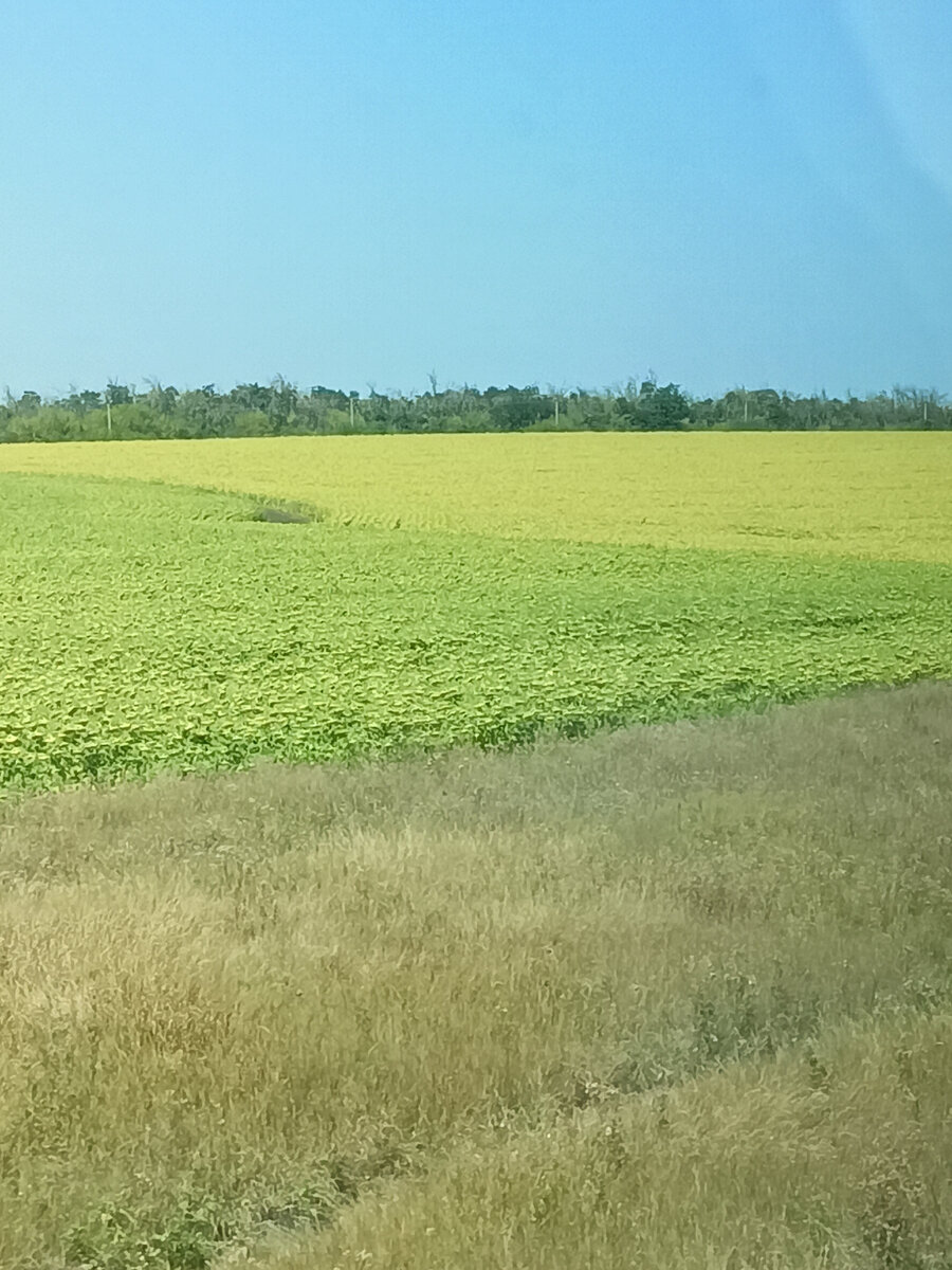 Кубань
