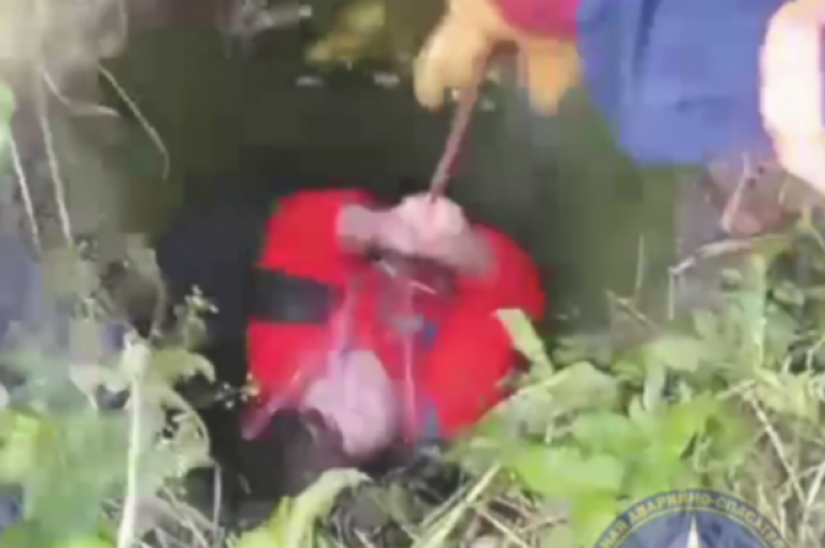    Женщина упала в коллектор во время сбора грибов в Новосибирске