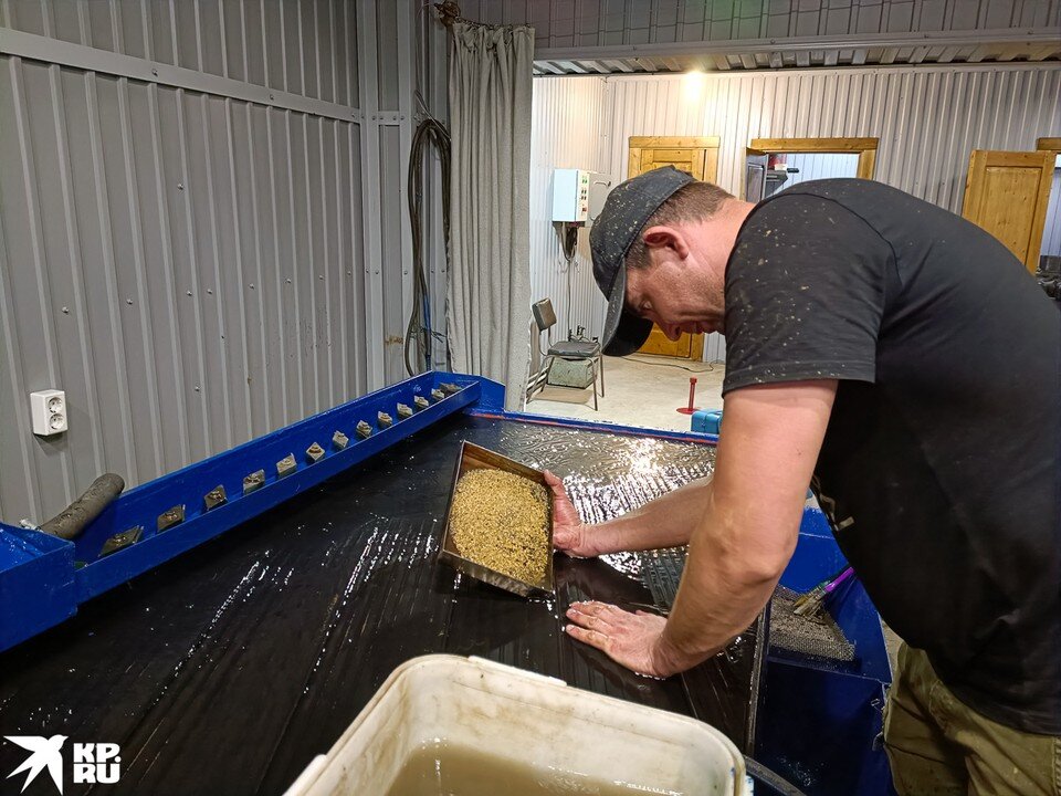    Вот оно золото всей артели Владимир ВОРСОБИН