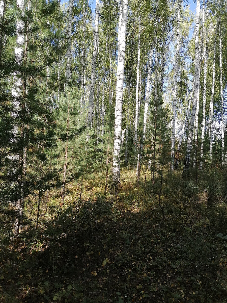 Личное фото автора 