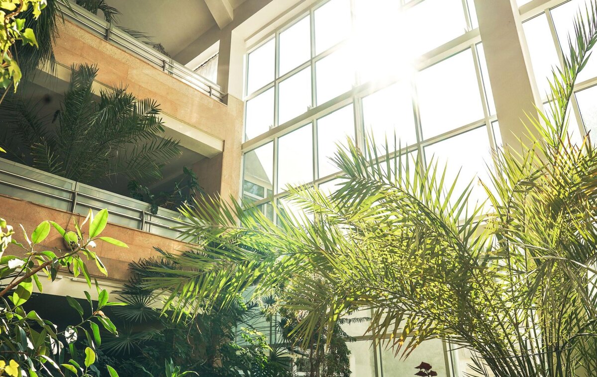 Shutterstock📷Биофильный дизайн