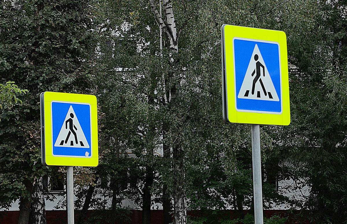    Фото: Анна Быкова / Вечерняя Москва