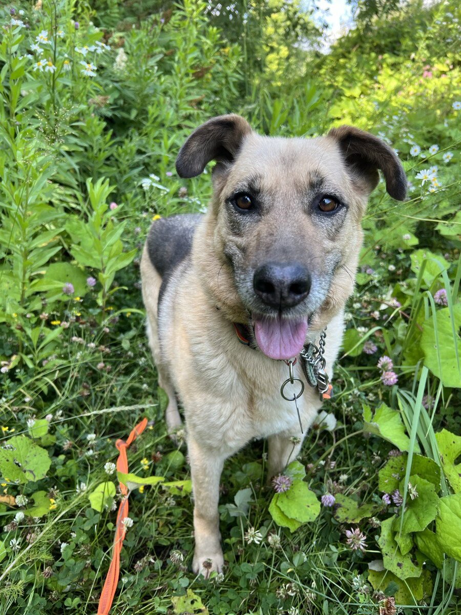 Привет! Я Стейси!