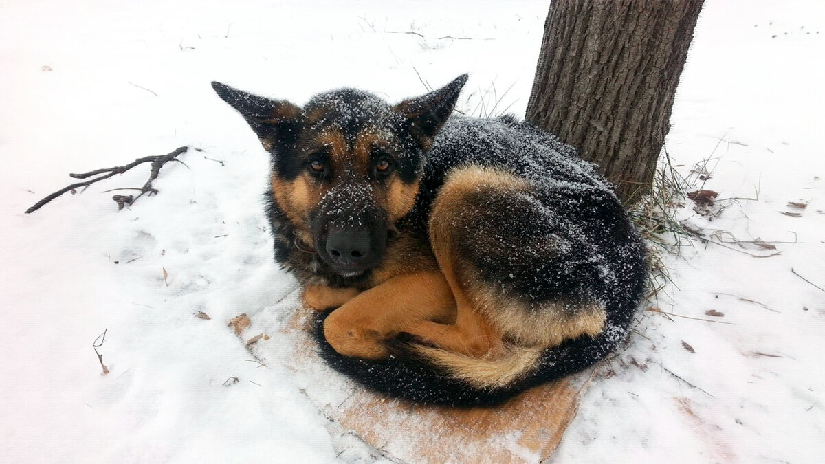 источник фото: krasivosti.pro